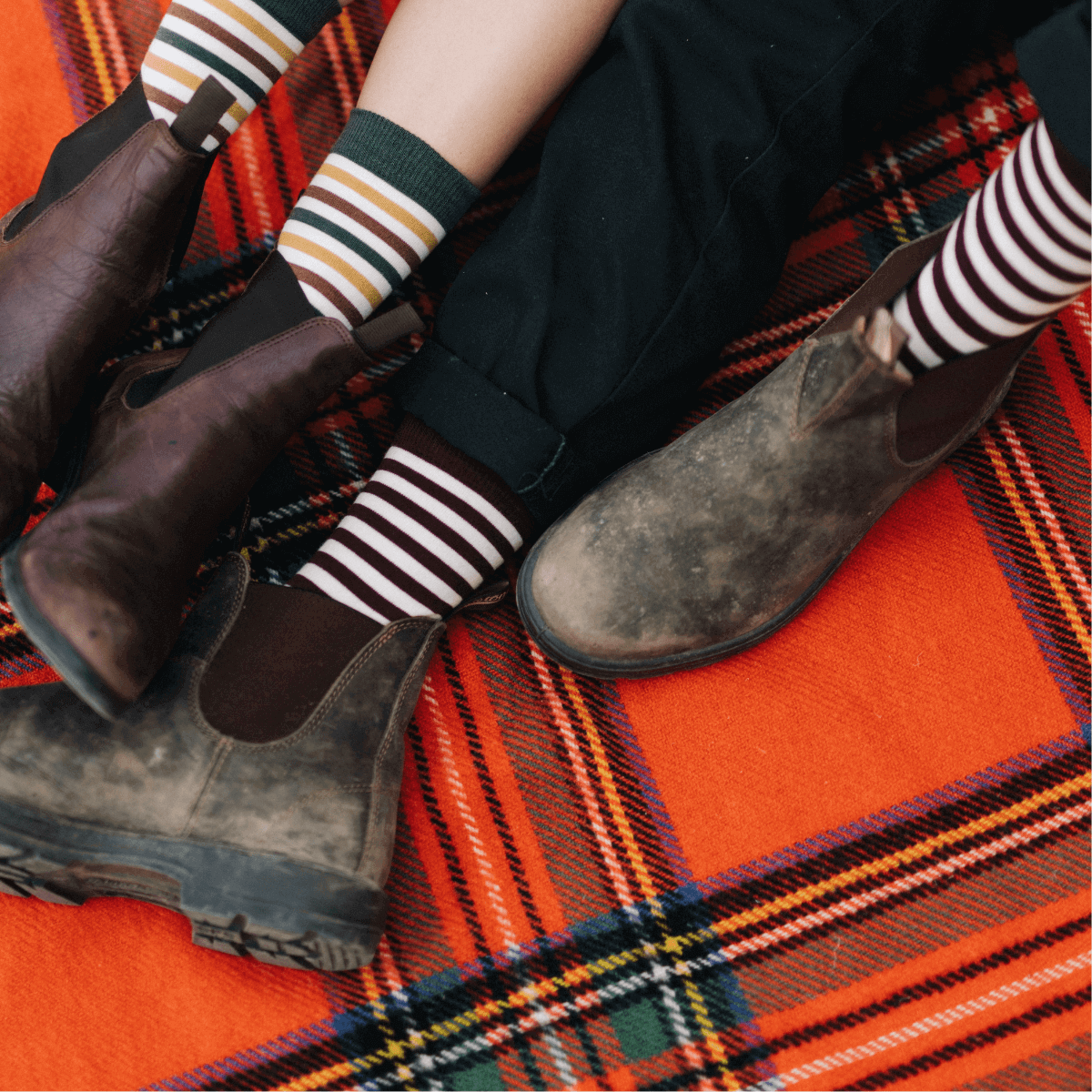 Maroon and latte striped merino wool crew mens socks 
