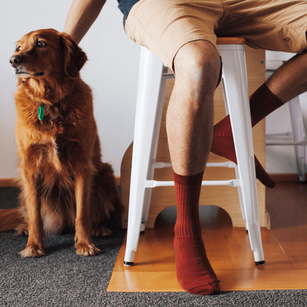 lamington merino wool crew socks spice nz